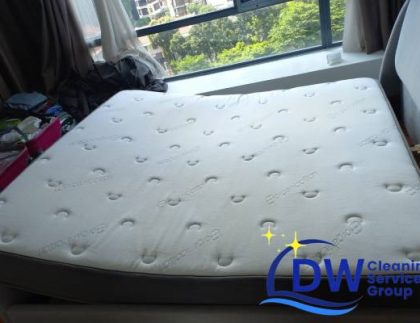 mattress-cleaning-services-dw-cleaning-services-group-singapore-condo-newton-1